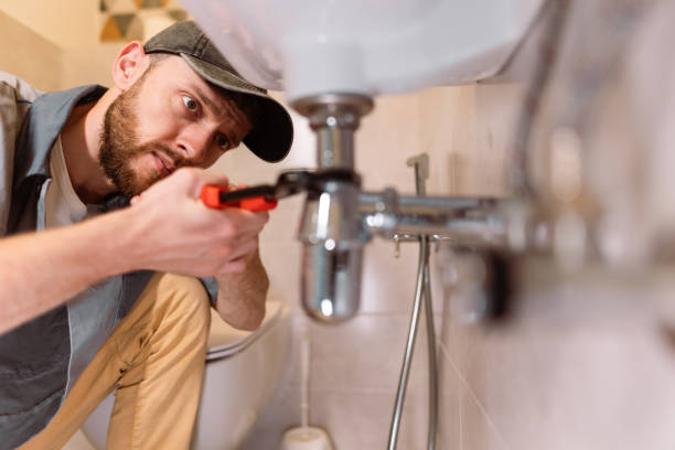 Best Shower Repair Services  in Mitchell, IL
