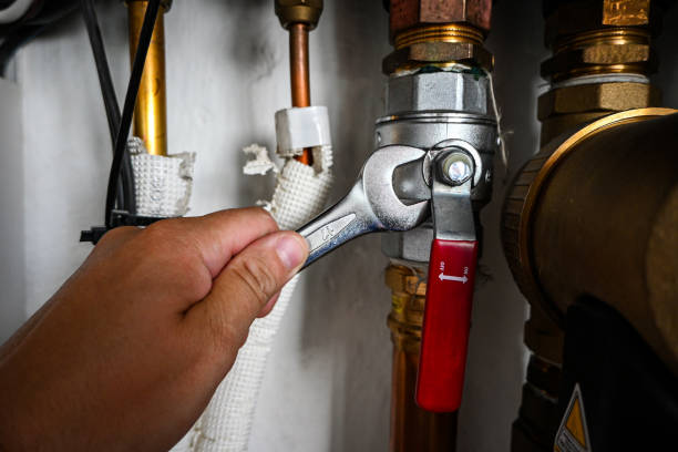 Best Leak Detection Services  in Mitchell, IL
